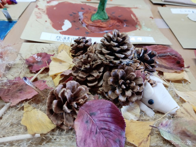 IMG_20250122_113107 (1)