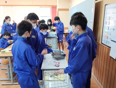 IMG_20250310_123412 (1)